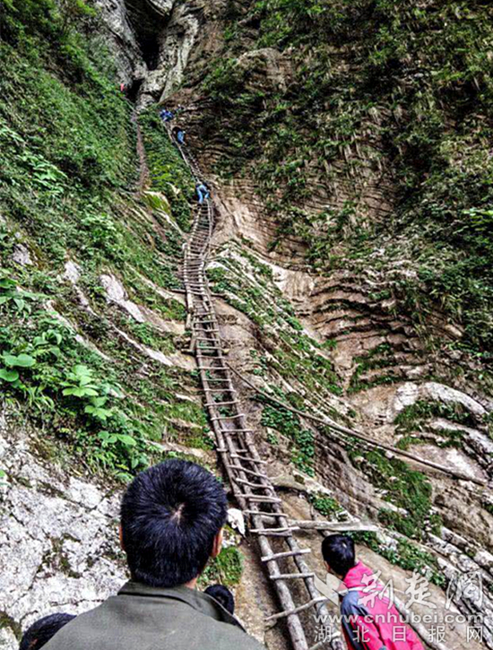就地取材,村民们用树枝搭建的136步绝壁天梯。铁厂村供图.jpg 就地取材,村民们用树枝搭建的136步绝壁天梯。铁厂村供图.jpg