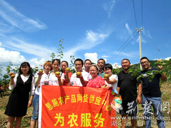 图三网货团队推销金果梨(网货中心供图)_副本.jpg 图三网货团队推销金果梨(网货中心供图)_副本.jpg