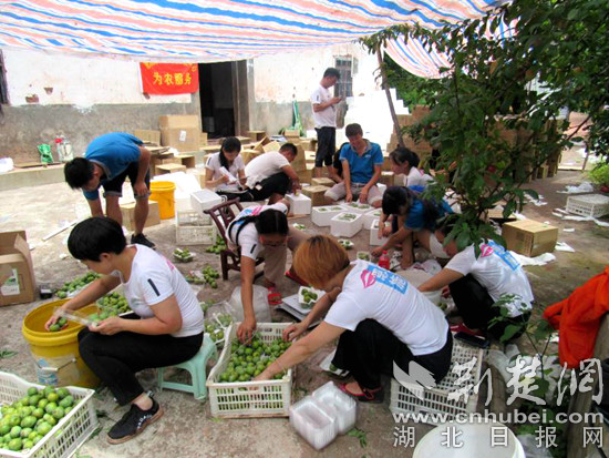 图四包装空心李(黄海滨摄影)_副本.jpg 图四包装空心李(黄海滨摄影)_副本.jpg