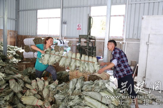 Image00002.jpg Image00002.jpg