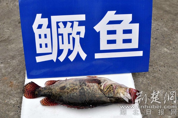 QQ图片20181209114833 副本.jpg QQ图片20181209114833 副本.jpg
