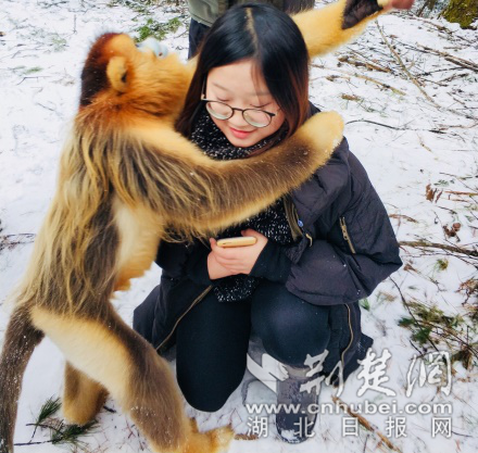 图片1_副本.png