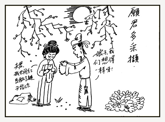 尚漫新闻作品   相思 唐 王维     红豆生南国,春来发几枝.