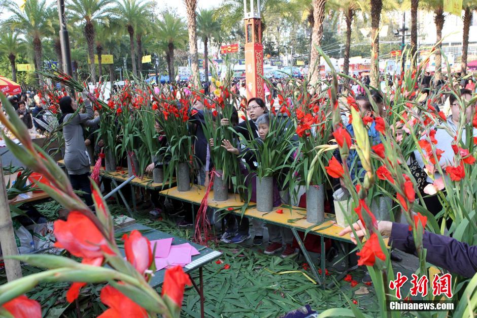 香港维园年宵花市热闹开场_荆楚网香港频道