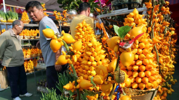 香港年宵花市热闹腾腾 营造节庆气氛
