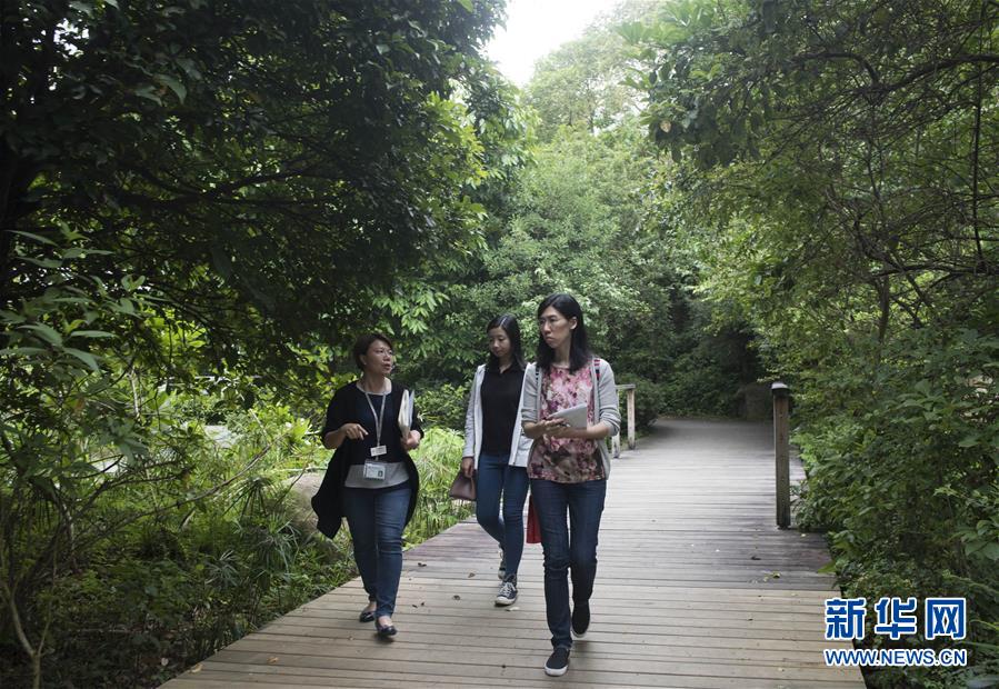 20年精心呵护,香港全民保育 城市之肺 _湖北日