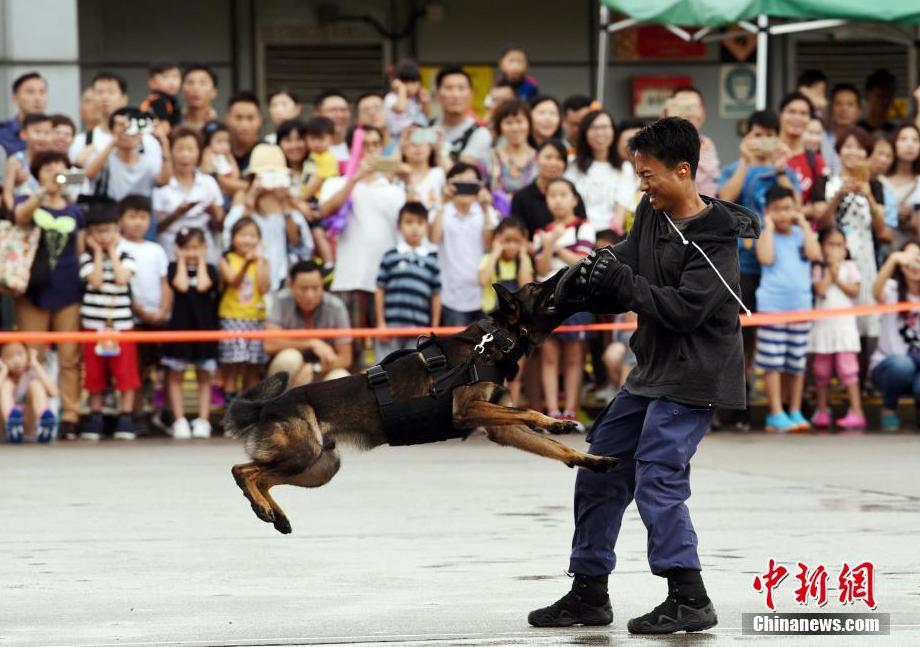 香港机场特警组40周年开放日吸引民众参观_湖