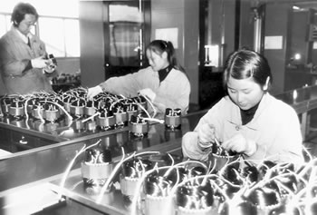 东贝集团依靠科技创新推进产业结构优化(图)