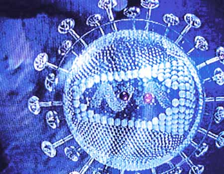 中国官方公布的非典元凶-冠状病毒图(图)