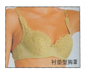 内衣课程_内衣美女(2)