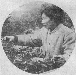 开拓女将 --记宜昌县渔业新村党支部书记陈华秀