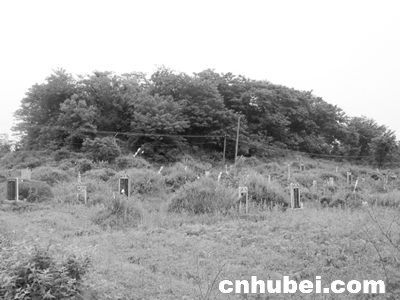 荆州“点将台”遗址成了乱坟岗（图）