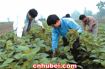 对口帮扶外出务工经商人员家属做好农业生产(