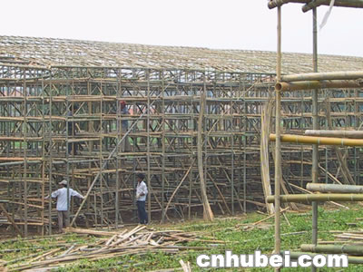 什么叫现代农民?应城向温州菇农找答案(组图)