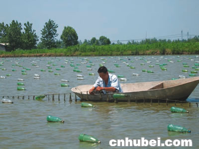 湖北板块农业扫描(组图)