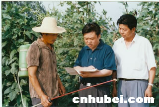 调工作专班 深入全县镇村清欠化解村级债务(图