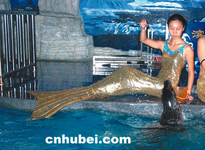 旱妹子变成美人鱼(组图)