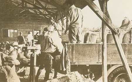 日军在占领区进行搜刮和掠夺(图)