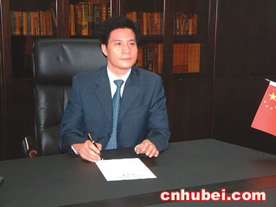 环保先锋--记武汉凯迪电力股份公司董事长陈义