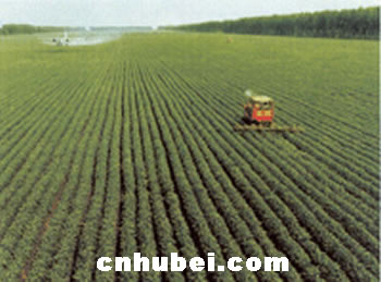 如何缴纳耕地占用税?(图)