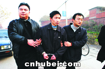 青山系列杀人强奸案告破(图)