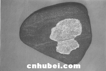 十堰市人事局退休干部郑金放酷爱收藏奇石(图