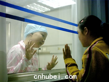 血癌少女昨日走进无菌舱(图)