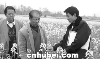 阳春市区人口_...市,经茂名市、阳春市、云浮市,引入肇庆市肇庆东站,向东跨北(3)