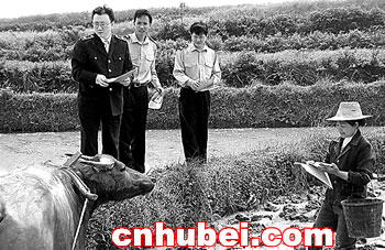 将涉农税收优惠政策送到农民手中(图)