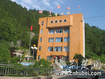 鹤峰龙头企业 八峰药化(图)