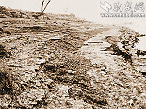 长江堤防隐蔽工程黑洞惊人(图)