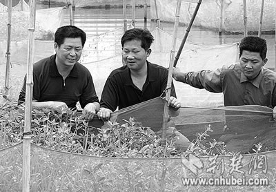 监利县农村信用社送贷上门(图)