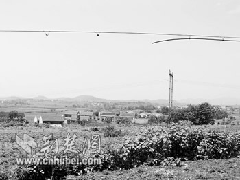 黄石通信光缆遭人为破坏(图)