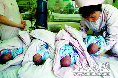 襄樊市中心医院诞生首例龙凤四胞胎(图)