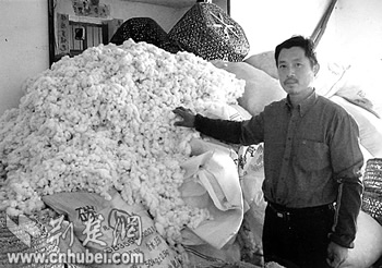 [楚天关注]雪白的棉花是怎么变黑的(图)