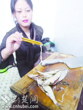 市民流动摊贩买便宜刁子鱼 鱼肚内有寄生虫(图