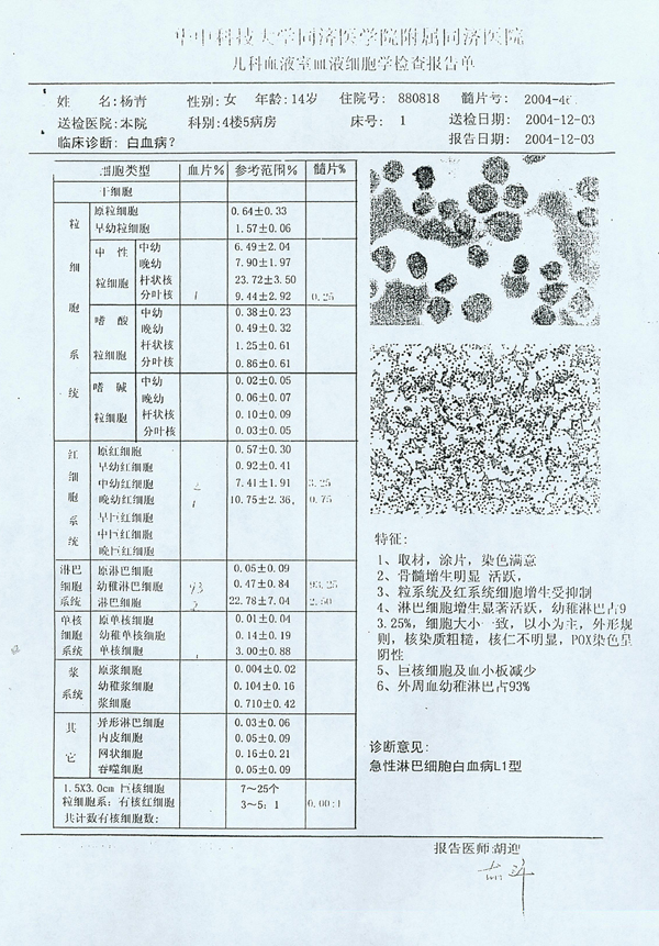 杨青血液细胞学检查报告单(图)