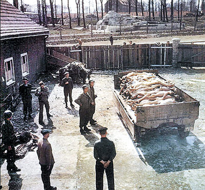 [重读历史]人类历史上的空前浩劫(图)