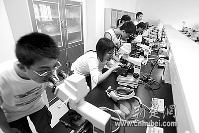 水碧琴园学子笃志笃行 柳堤沙湖智者日思日睿