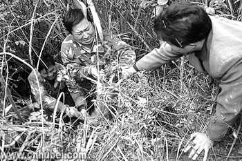 捕野猪机电路图; 靠捕野猪致富的农民;
_电路图分享 策划:荆楚网(湖北日报)孔奇志 文/图:荆楚网(湖北日报)记者周芳 通讯员胡光凯 卢家波 实习生文庆桃 编辑小语 野生动物是人类的朋友,保护野生动物是公民义不容辞的责任。 可部分多起来的野生动物却给一些地区带来了烦恼,甚至是灾害:野猪无情糟蹋农田,鸬鹚大量抢食鱼苗,野兔肆意偷吃庄稼我们保护野生动物,谁保护我们?受灾农户含泪问。 能否给受灾户一定的补偿?让农民在蒙受野生动物带来的损失后,生活不受大的影响?我们期盼有关部门能采取措施,既保护野生动物,又维护农民利益,让人与野生动物更和谐相处。 有序捕杀