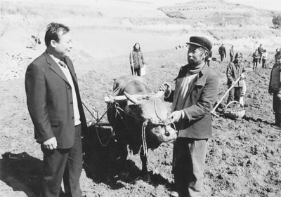 图文:郧县信用社小额农贷支农惠农