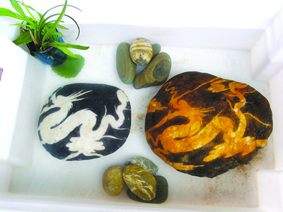 奇石藏龙栩栩如生 专家鉴定:人造的(图)