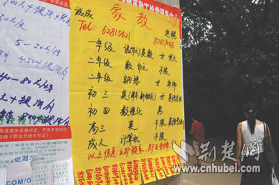 暑假大学生家教_大学生家教收入(3)