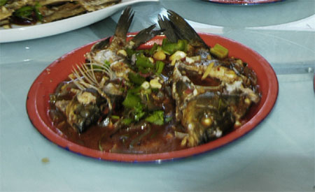 难忘新疆之美食篇(三)――乌伦古湖畔野鱼宴