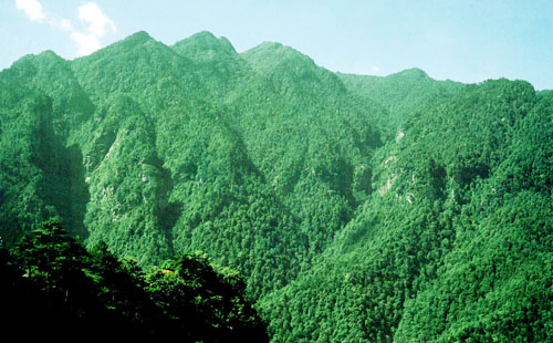 江西吉安府永新州泰和县鱼骨庙大石板