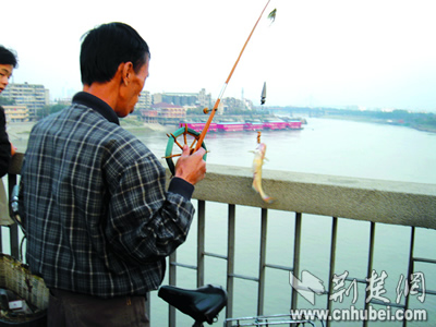 江汉二桥上钓鱼 不妥(图)