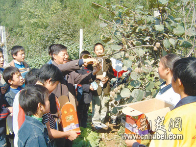 建始县红岩寺镇gdp_打印 建始县红岩寺镇民族小学将少数民族传统体育项目融入运动会 恩施州政务网站群(3)