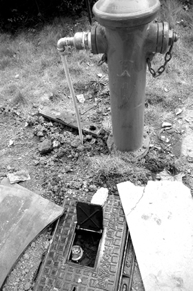 消防栓上接水管还装水表 消防部门:将调查(图)