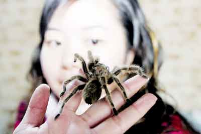 [冰点焦点] 都市里的宠物情缘(图)