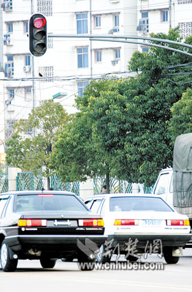 乱停乱闯红灯行人怕 外地车违章无法无天(图)